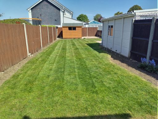 grass cut