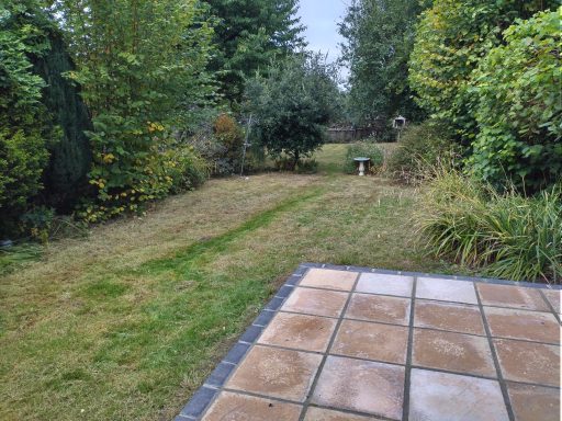 Before and after grass cut