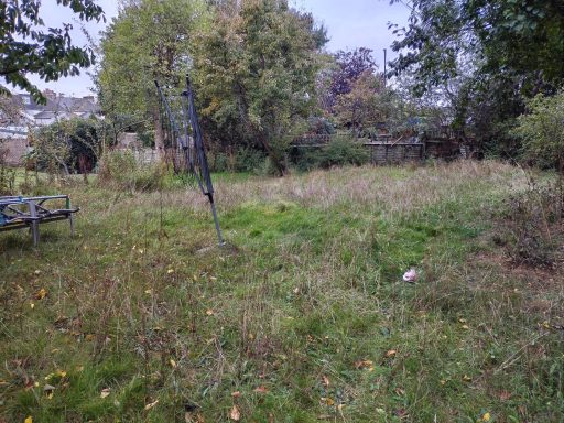 Before and after grass cut