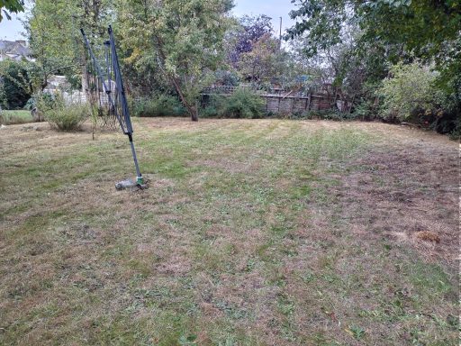 Before and after grass cut