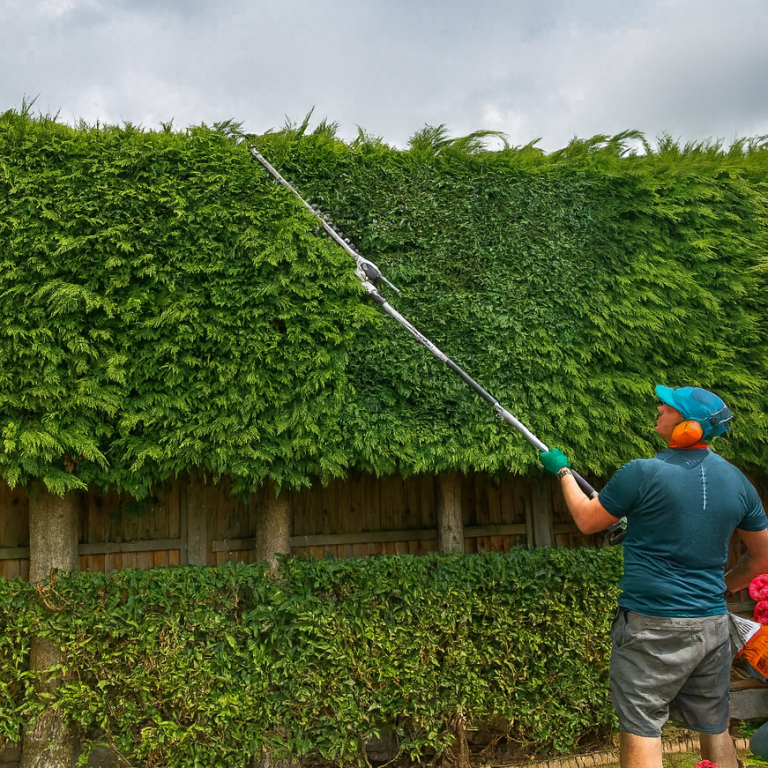 Hedge Trimming Person trimming a tall hedge with a long reach pole in a garden.