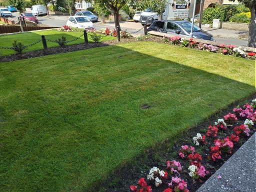 grass cutting