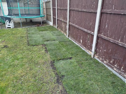 Patchy lawn with uneven grass sections beside a wooden fence and a trampoline.