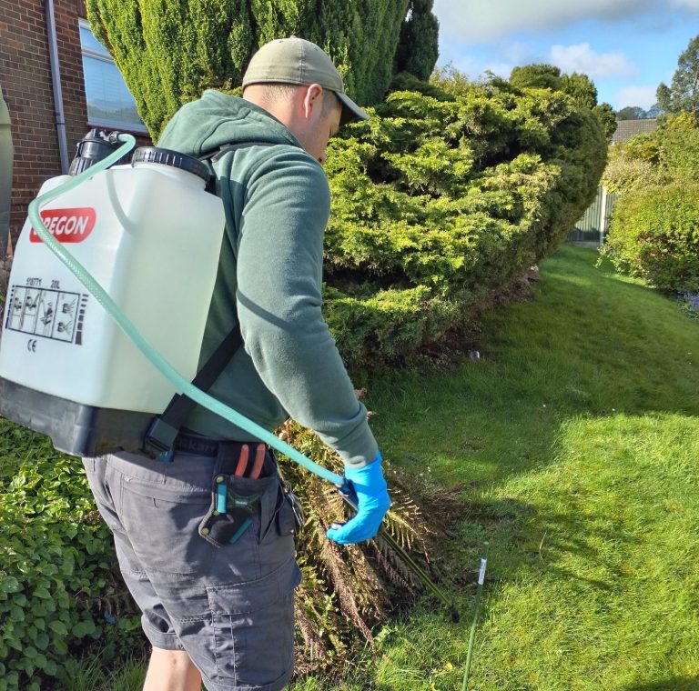 Tidy Gardening Logo Text on a green background: "Tidy Gardening - All Year Round Garden Maintenance."