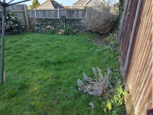 Garden tidy in Walderslade