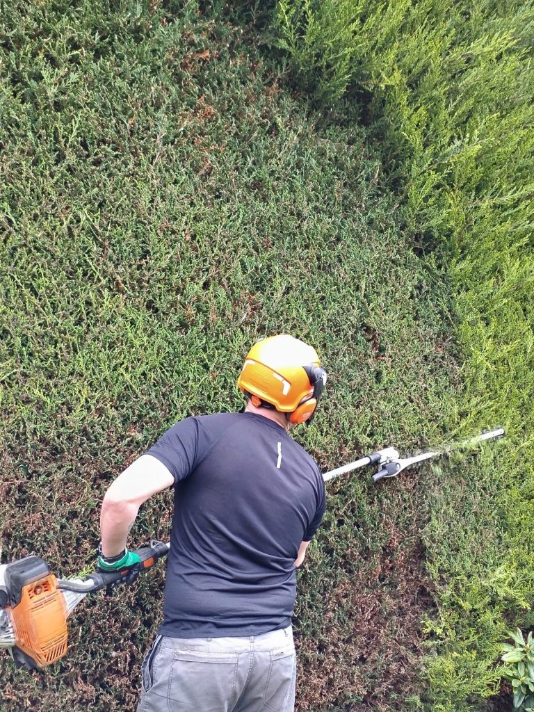 Man trimming a hedge with a power trimmer, wearing ear protection.