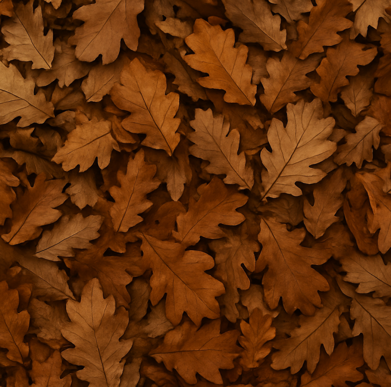 Tidy Gardening Logo Text on a green background: "Tidy Gardening - All Year Round Garden Maintenance."