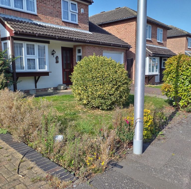 Text on a green background: "Tidy Gardening - All Year Round Garden Maintenance."