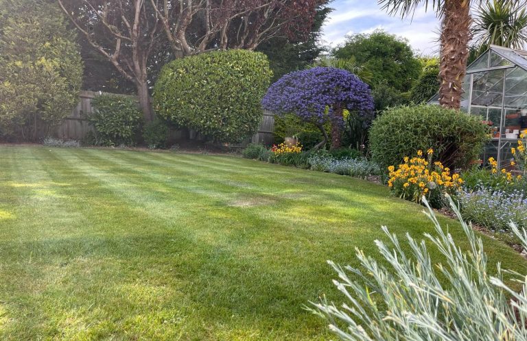 A roof being cleaned with a vacuum system, showing dirt and moss inside to stop the gutter getting blocked