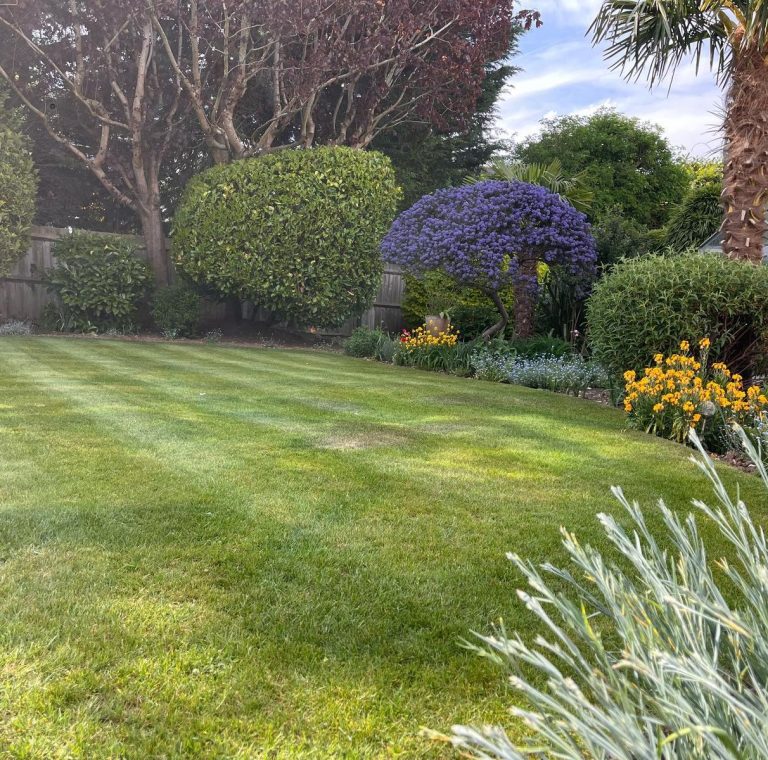 Tidy Gardening Logo Text on a green background: "Tidy Gardening - All Year Round Garden Maintenance."
