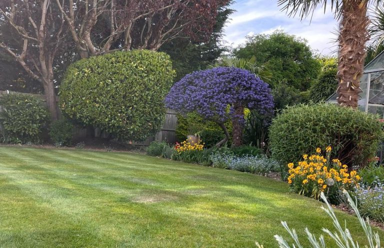 Person using a pole brush to clean a window in a residential area.