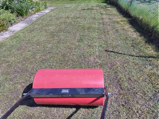 roller lawn scarifying