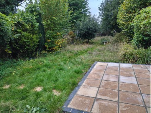 Before and after grass cut